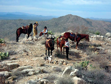 USA-Arizona-Hassayampa River Working Ranch